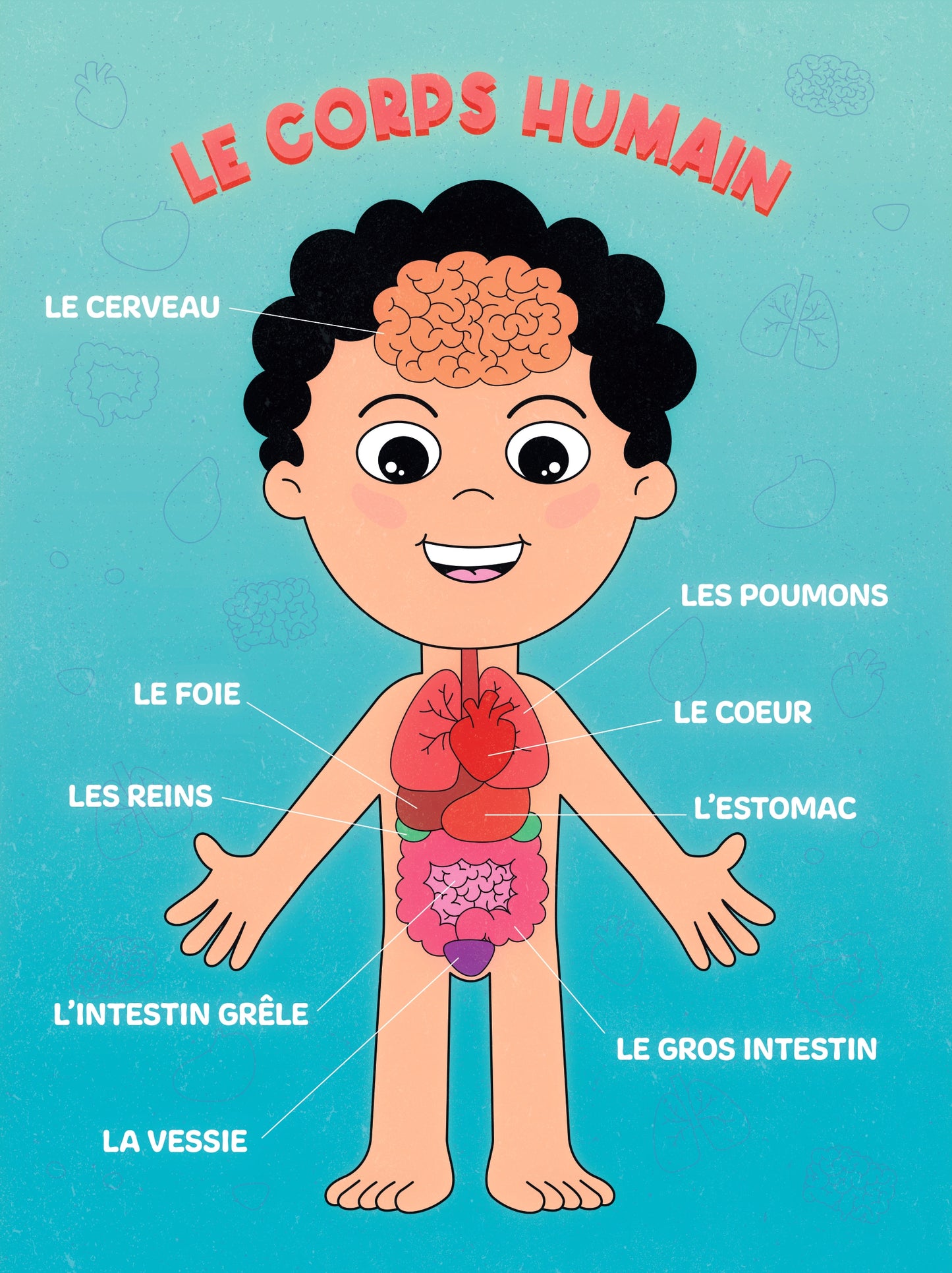 Le Corps Humain